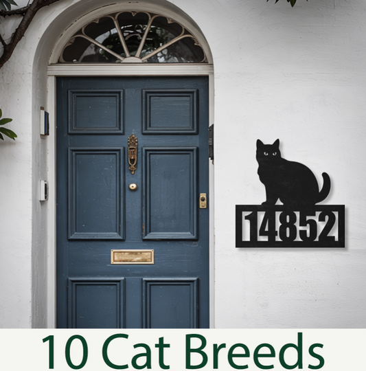 Choose Your Cat Breed Home Address Number