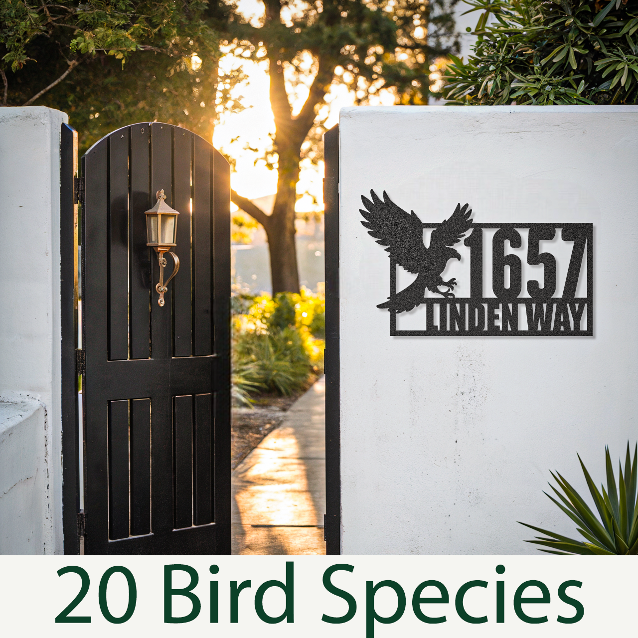 Choose Your Bird Species Home Address Sign